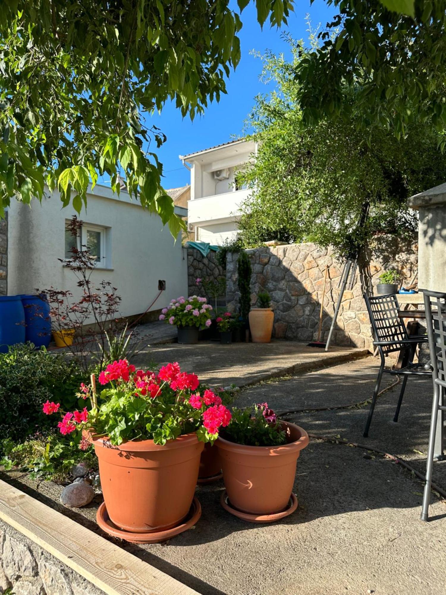 Villa Beba - Apartments Senj  Εξωτερικό φωτογραφία