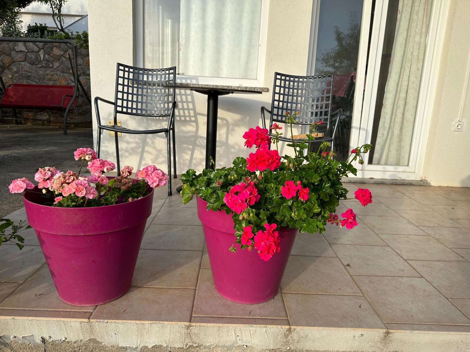 Villa Beba - Apartments Senj  Εξωτερικό φωτογραφία