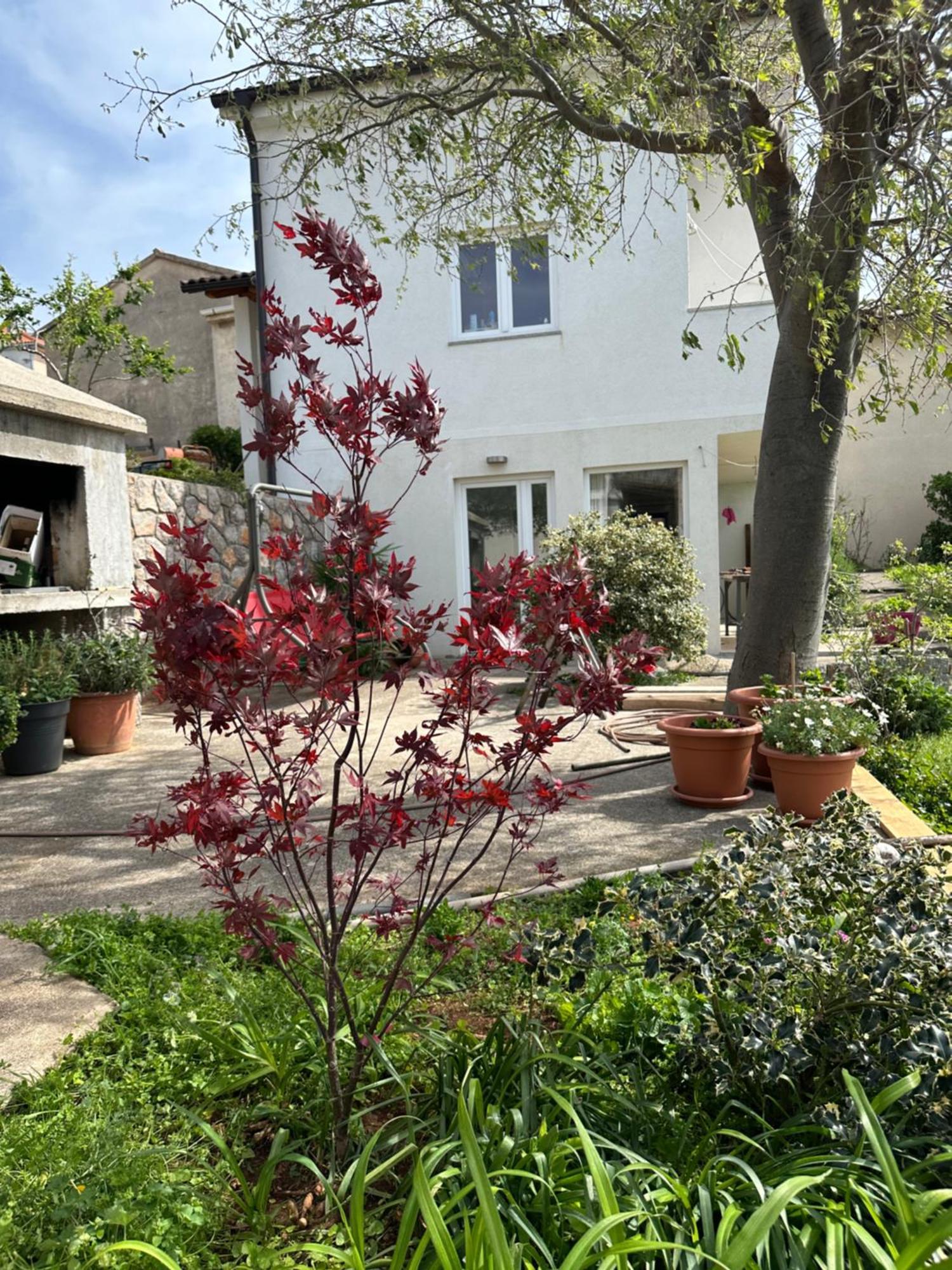 Villa Beba - Apartments Senj  Εξωτερικό φωτογραφία